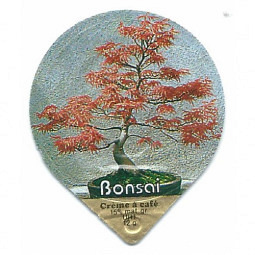 612  Bonsai /G