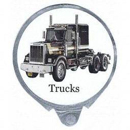 Schweiz - Bea`s Trucks