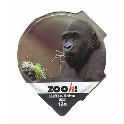 Es 11/14 - Zoo Zuerich /D